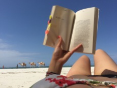 Reading by the beach